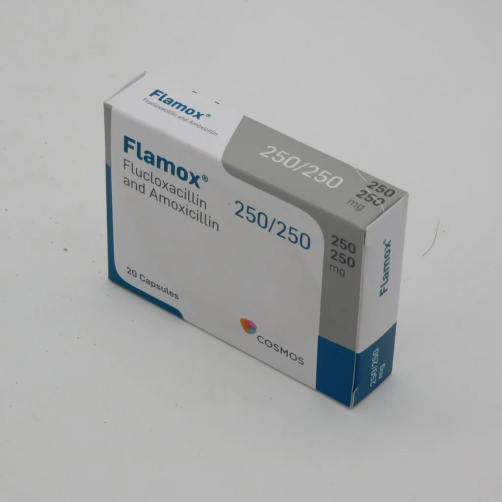Flamox 250MG / 250MG